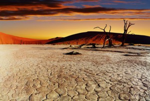 namib-desert